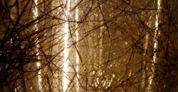 mumble-mumble-resina-autolivellante-trasparente-fibre