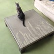 Tavolo da salotto ferro e cemento - con gatto